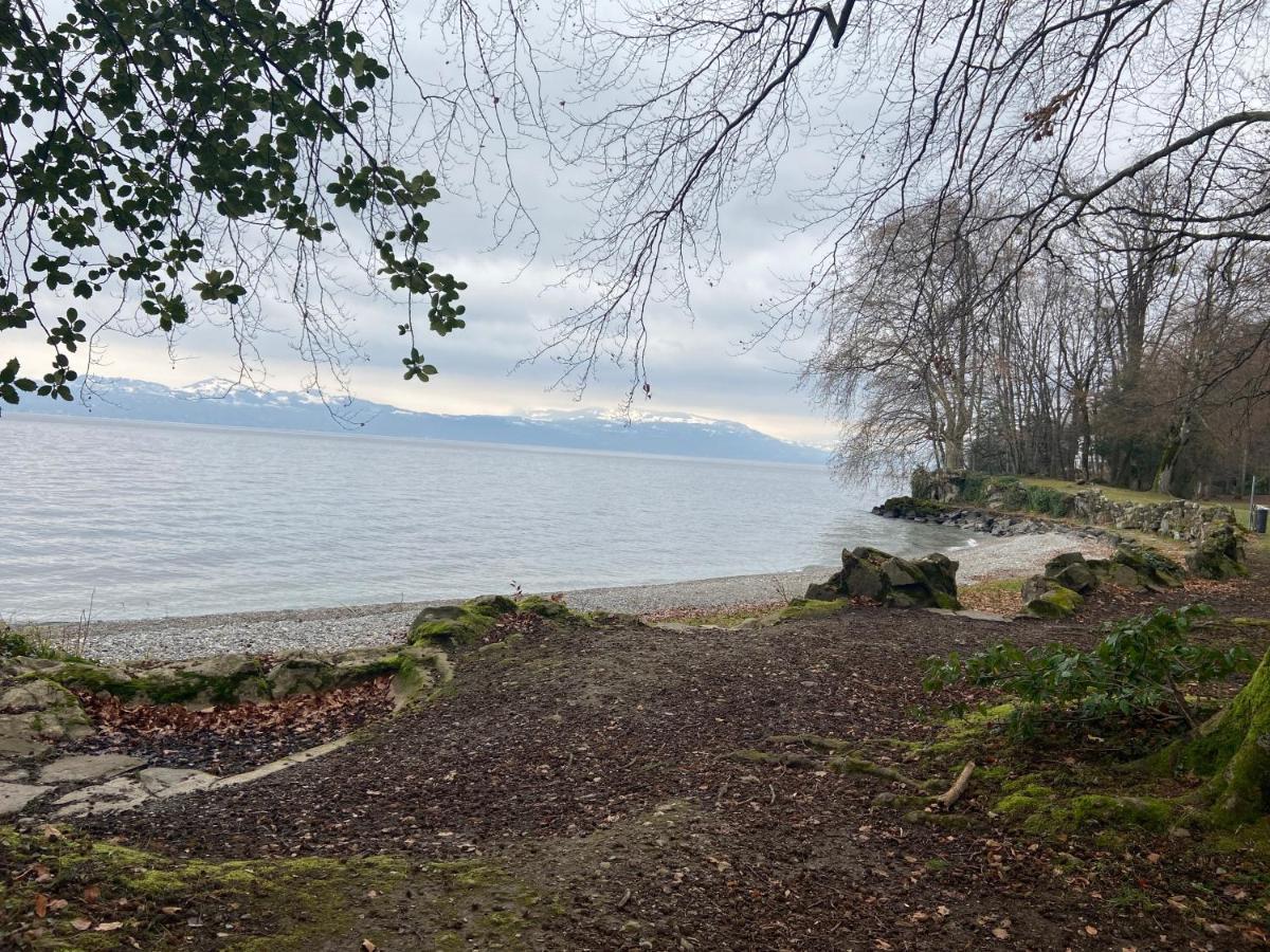 BORD DE LAC,2 chambres SUPERBE VUE LAC 5mn Evian Lugrin Exterior foto