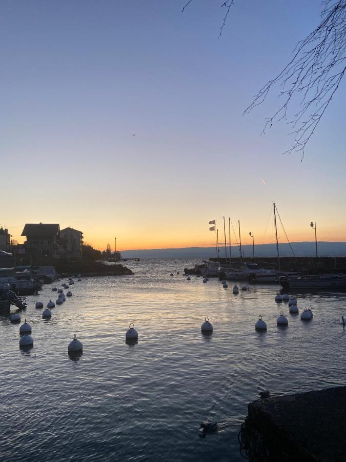 BORD DE LAC,2 chambres SUPERBE VUE LAC 5mn Evian Lugrin Exterior foto