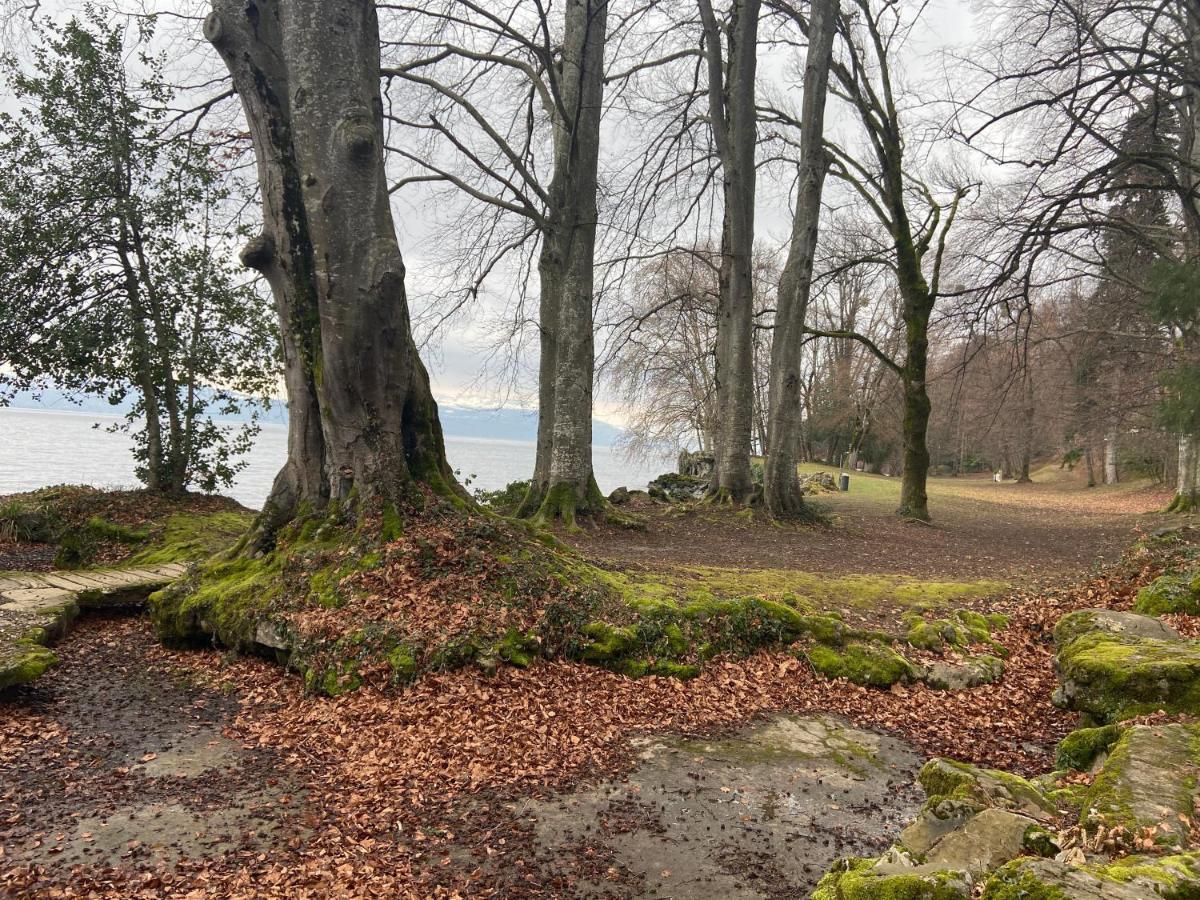 BORD DE LAC,2 chambres SUPERBE VUE LAC 5mn Evian Lugrin Exterior foto